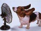 Ezt kerested? Itt van! Vagy nem mered? Na h�t?